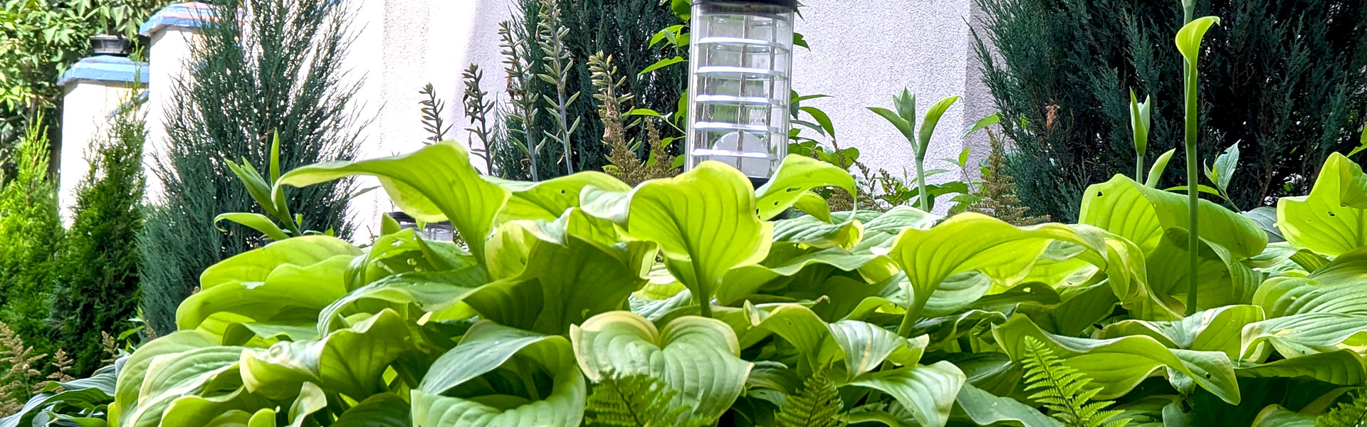 Уход за участком